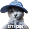 Meme Kucing  8
