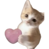 BUCIN RANDOM 15