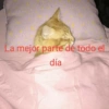 La mejor parte de todo el día