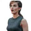 Harry potter 30