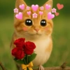 Meowl Michi cute 🥺🩷✨ 8