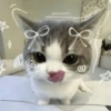 🤗💞 Gatos Tiernos 💞🤗 16