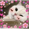 Frases de amor 26