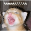 AAAAAAAAAAA