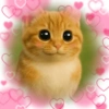 Meowl Michi cute 🥺🩷✨ 7