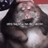 Memes 31 9