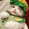 🧿Animalitos Cute para  Chat🐈🐶 22