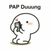 PAP Duuung