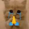 🐱🐈 GATITOS 🐈🐱 9