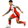 River plate  15