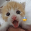 Emoji 7