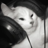 Gatitos cura Depresión😸😽 9