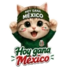 Vamos México ⚽✨🇲🇽 10