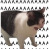 ААААААААААААА АААААААААААА A A AAA AAAA AA AA AAAAAA