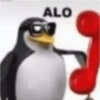 ALO