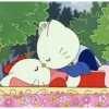 Hello kitty 13