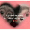 Tu parece um piolho, todo dia na minha cabeça