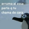 PINGUZITO 5