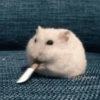 🌈🐹✨️Hamster Funny Mood✨️🐹🌈 12