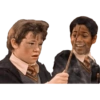 Harry potter 12