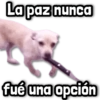 La paz nunca fué una opción