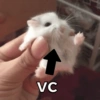 Reações fofas em alta 🤣🥰 13