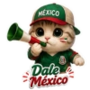 Vamos México ⚽✨🇲🇽 7