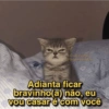 Memes de gatinhos 5
