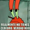 REALMENTE NO TIENES CEREBRO, VERDAD HIJO