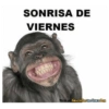 Viernes de Encierro 🥺 11