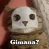 KUCING LUCU 7