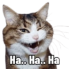 Ha.. Ha.. Ha