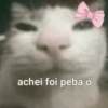 achei foi peba ó