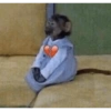 Macacoss 9