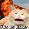 Guerra mundial💣💥 memes🔥 11