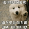SOU FOFINHO CONTIGO MAS NAO EH POR ISSO QUE EU NAO QUEIRA TE FUDER COM FORCA