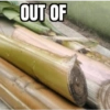 OUT OF