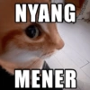 MEME KUCING 11