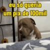 Para reagir 13