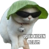 Meme Kucing  9