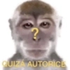🐵•Monitos•🐵 9