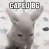 CAPEJ BG