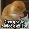 Creo q se te olvidó q existo