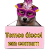 Placas de carnaval quente🔥🔥 10