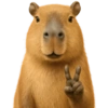 Capybara 🌻 12