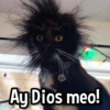 Ay Dios meo!