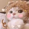 🧿Animalitos Cute para  Chat🐈🐶 8