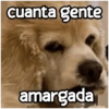 Perritos enojados 😡 🐶 13