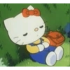Hello kitty 15
