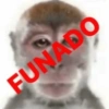 🐵•Monitos•🐵 13